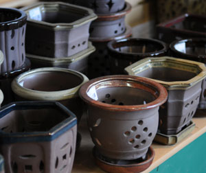 Specially designed orchid pots make it easier to keep plants watered properly.