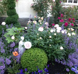 Front Rose Garden, Perennials
Casey Pradelli (Homeowner)
Haverford, PA