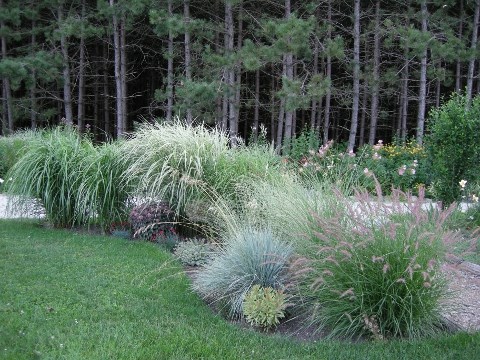 A Rustic Perennial Paradise
Plant Paradise Country Gardens
Caledon, ON