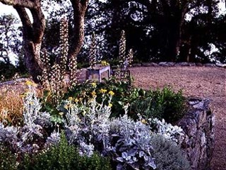 Garden Design Calimesa, CA