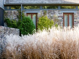 Ornamental Grass
Lisa Roth - Landscape Architect
Devon, PA