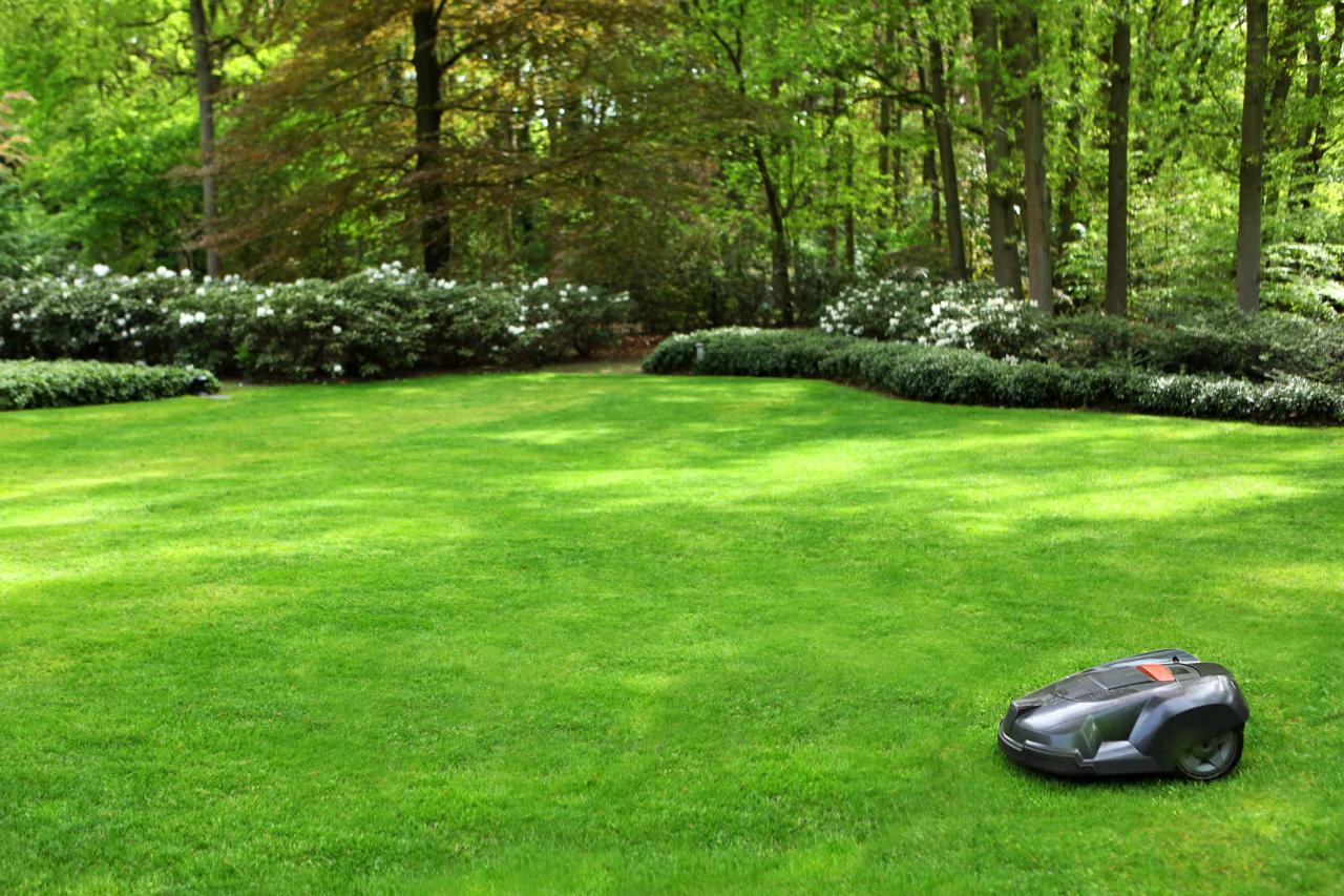 Connected gardens - lawnmower - Argos garden trends