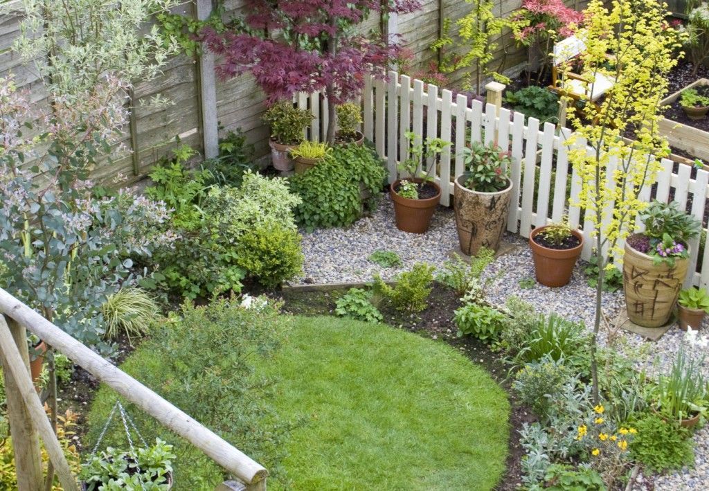 garden-ideas-on-a-budget-lawn