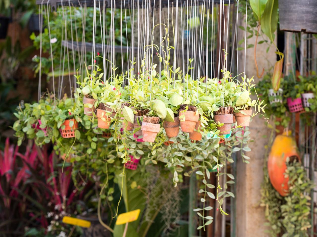 Hanging plant pots - Insta gardening - Argos garden trends 2018