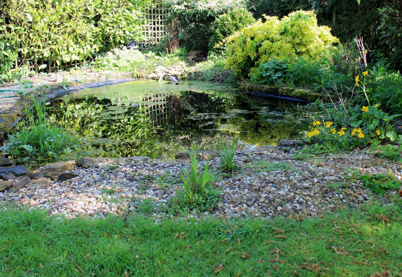 Overgrown and messy garden pond with liner showing