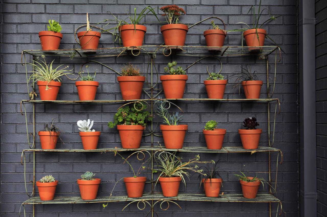 Vertical gardening - plant pots - Argos garden trends 2018